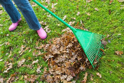 a rake|definition of a rake person.